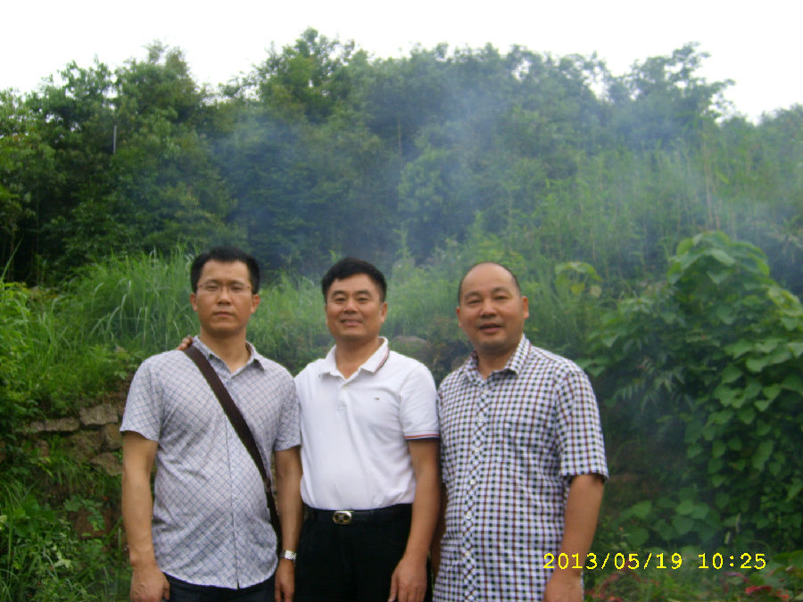 STP67975.JPG
